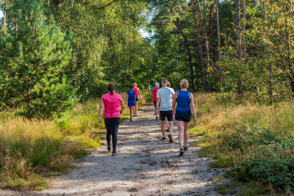 hardlopen, sport, beweging, buiten, lichaam, gezond, runners tempo zandpad Mastbos. zonnige dag, zomer
