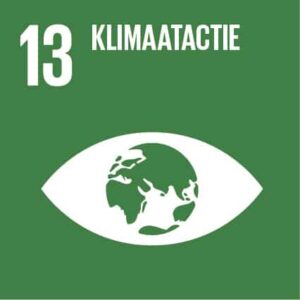 SDG-icon-13